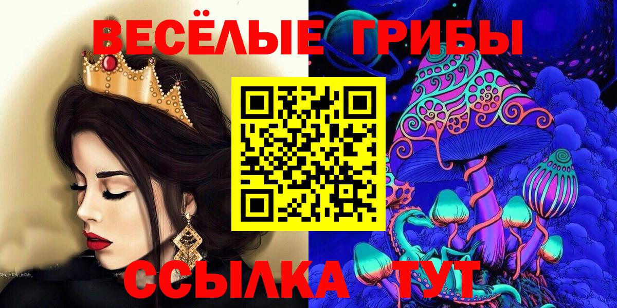 Галлюциногенные грибы GOLDEN TEACHER Москва