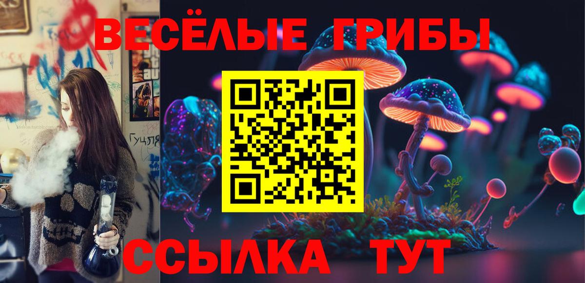 Галлюциногенные грибы Psilocybe  Вход с VPN  Москва 